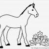 Boxenschilder Für Pferde Vorlagen Wunderbar Pferde mit Bilder Ausmalen Pferde