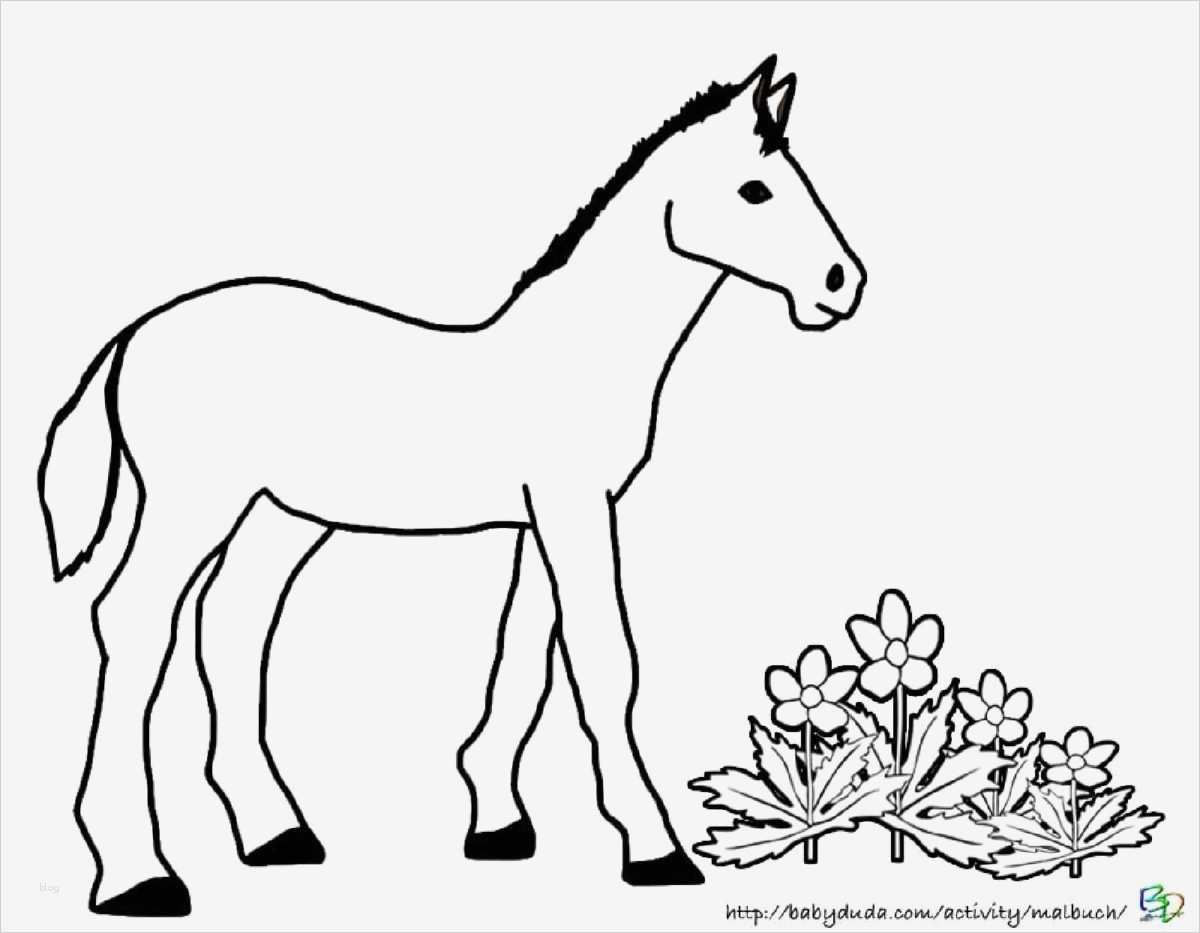 Boxenschilder Für Pferde Vorlagen Wunderbar Pferde mit Bilder Ausmalen Pferde