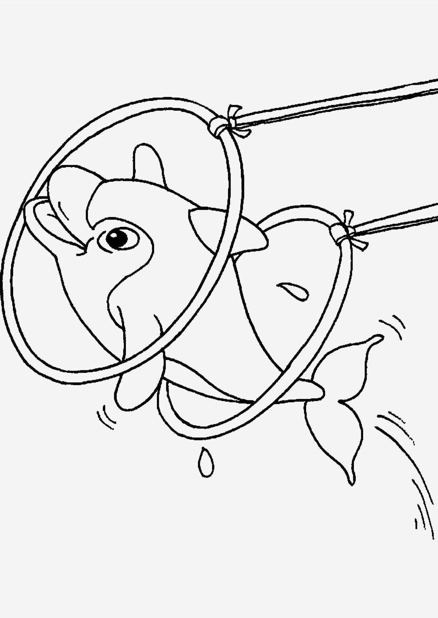 Delfin Ausmalbilder Zum Ausdrucken Kostenlos | Aiquruguay über Delfin Zum Ausmalen