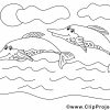 Delfine Malvorlage Zum Ausmalen verwandt mit Delfin Zum Ausdrucken