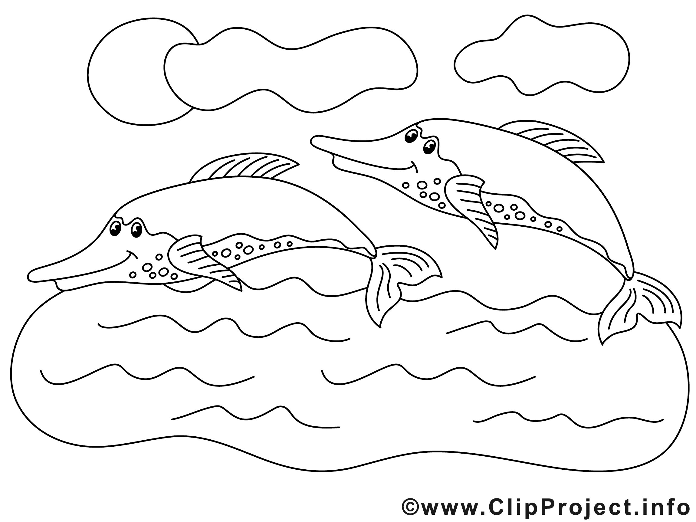 Delfine Malvorlage Zum Ausmalen verwandt mit Delfin Zum Ausdrucken
