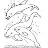 Delfine Malvorlagen Kostenlos Zum Ausdrucken ganzes Delfine Bilder Zum Ausmalen