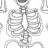 Die 20 Besten Ideen Für Ausmalbilder Skelett - Beste bestimmt für Ausmalbilder Langhals
