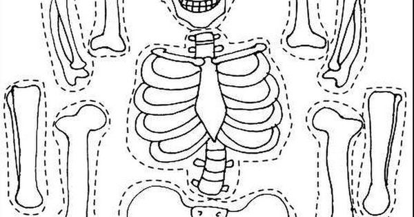 Трафарет скелета для костюма - mastersspace.ru