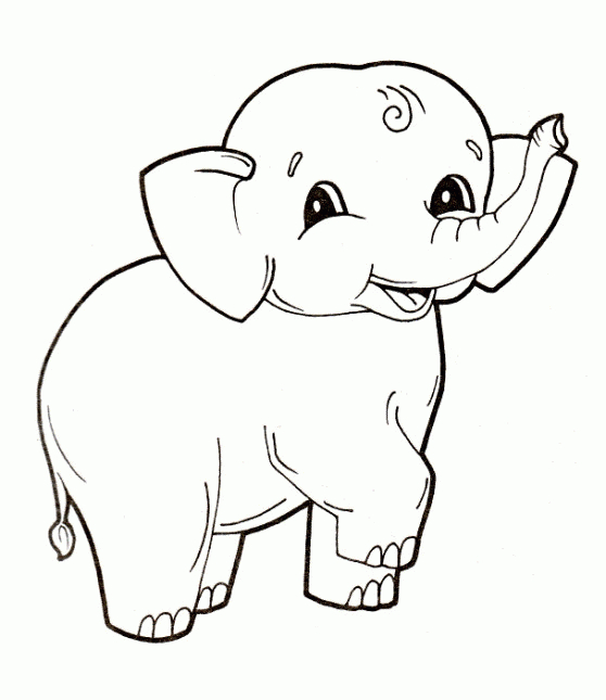 Die 20 Besten Ideen Für Elefant Ausmalbilder - Beste verwandt mit Ausmalbilder Elefant
