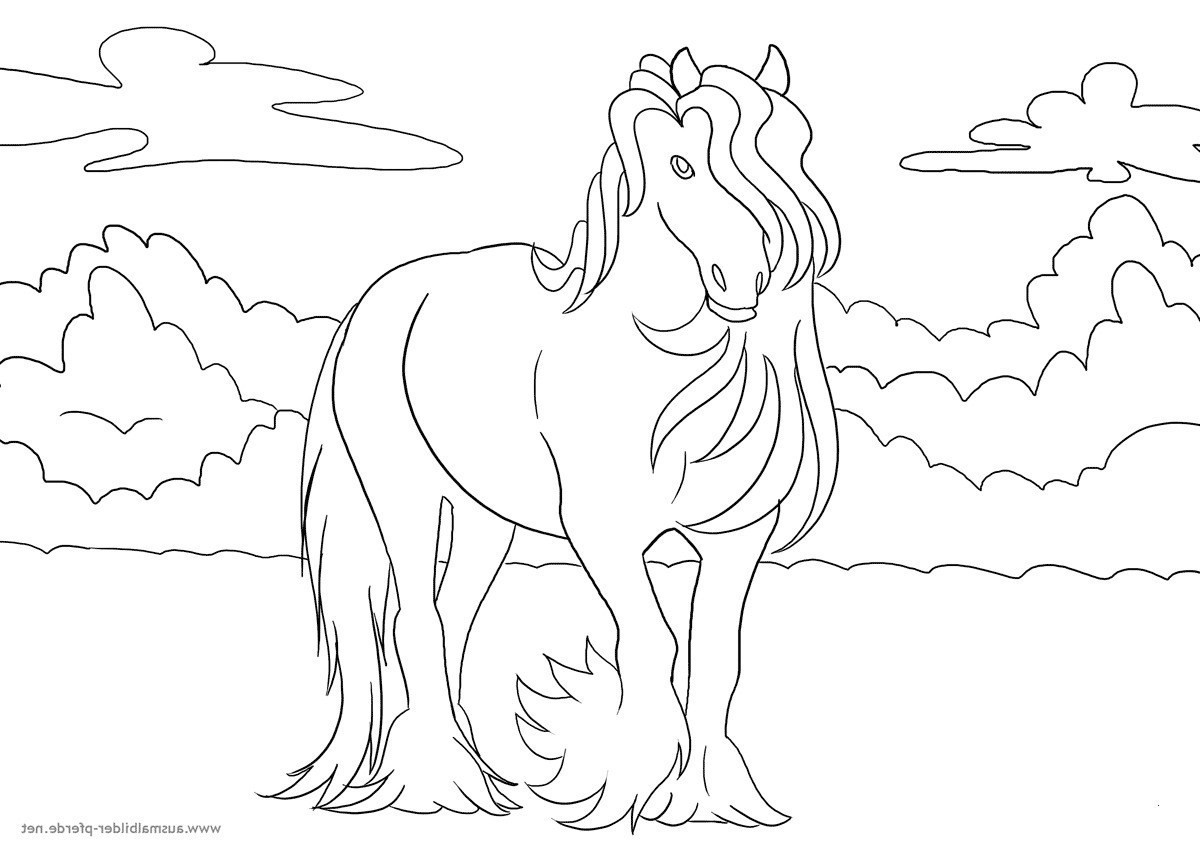 Die Besten Bibi Und Tina 4 Ausmalbilder - Beste Wohnkultur ganzes Bibi Und Tina Ausmalbilder