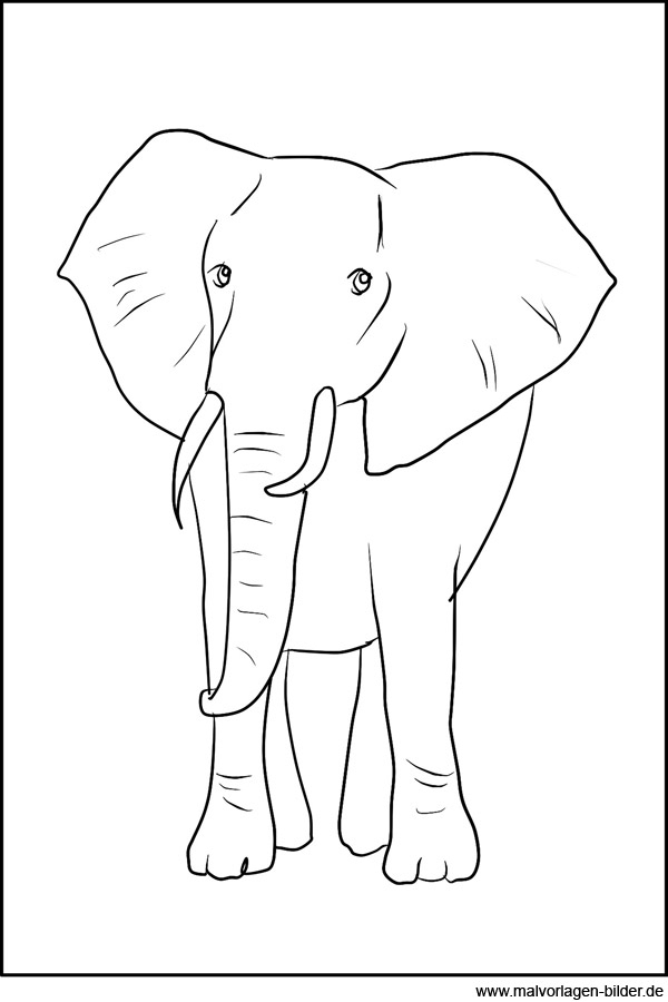 Elefant - Ausmalbild Zum Ausdrucken verwandt mit Ausmalbilder Elefant