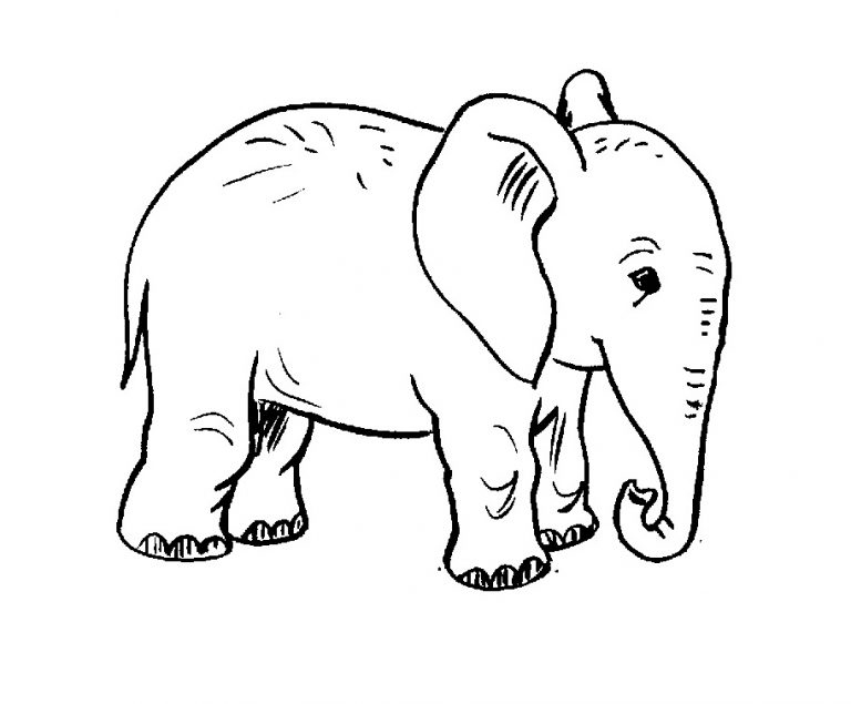 Elefant Ausmalbilder Kostenlos - Ausmalbilder Für Kinder innen Ausmalbilder Elefant