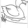 Enten Zum Ausdrucken 01 | Bird Coloring Pages, Cute verwandt mit Vorlage Tiere Zeichnen