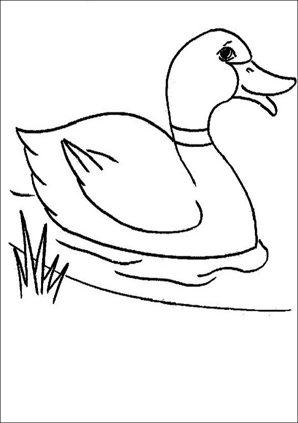 Enten Zum Ausdrucken 01 | Bird Coloring Pages, Cute verwandt mit Vorlage Tiere Zeichnen