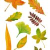 Fall Clipart. Aquarell Herbst Blätter Herbst Kranz Eiche verwandt mit Malvorlage Blätter Herbst