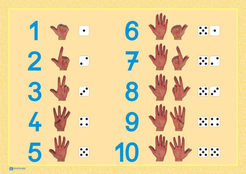 Hände-Poster &quot;Zahlen 1-10&quot; | Mengen &amp; Zahlen | Mathematik verwandt mit Würfelbilder Zum Ausdrucken