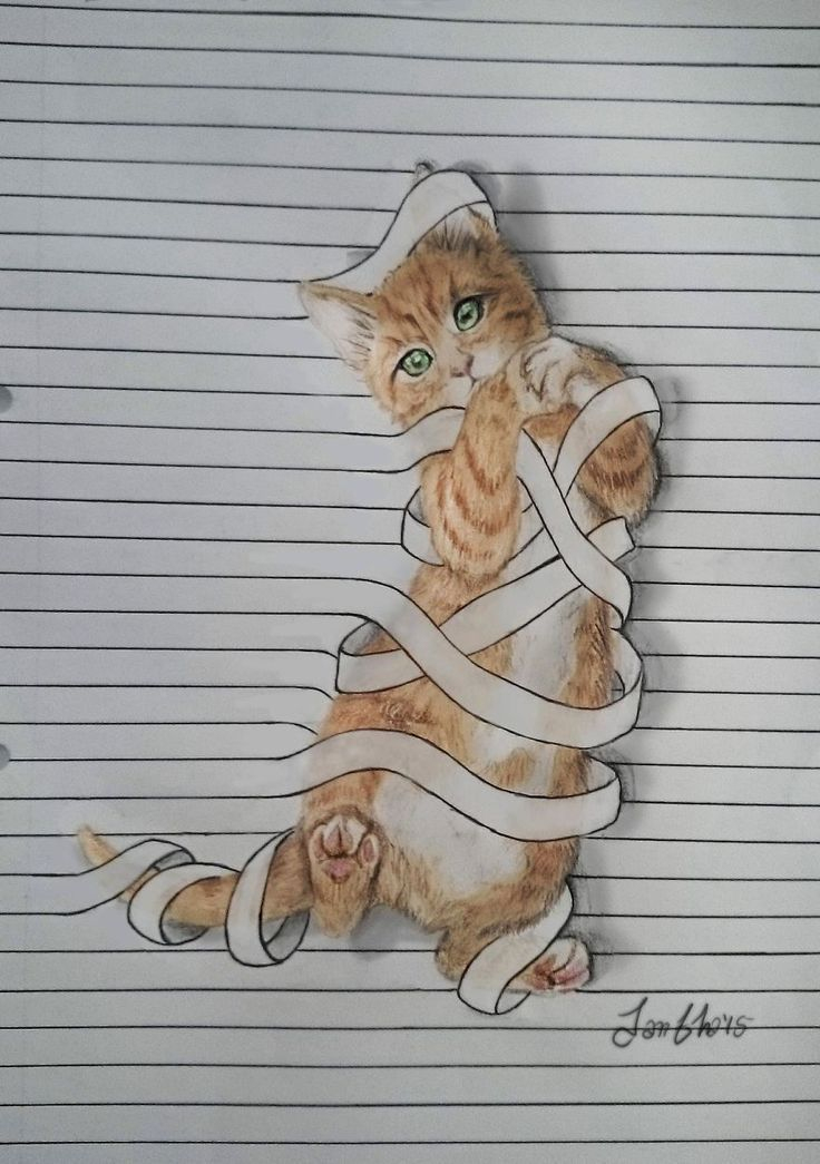 Ich Zeichne Tiere Die Nicht Zwischen Den Zeilen Bleiben für Süße Katze Zeichnen