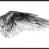 Ikaros Affiche | Art Prints, Wings Tattoo, Wings Drawing innen Engelsflügel Vorlage