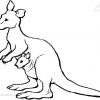 Kanguru Malvorlage | Coloring And Malvorlagan mit Känguru Ausmalbild