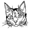 Katze Ausmalbilder -52 | Ausmalbilder Malvorlagen innen Katze Bilder Zum Ausmalen