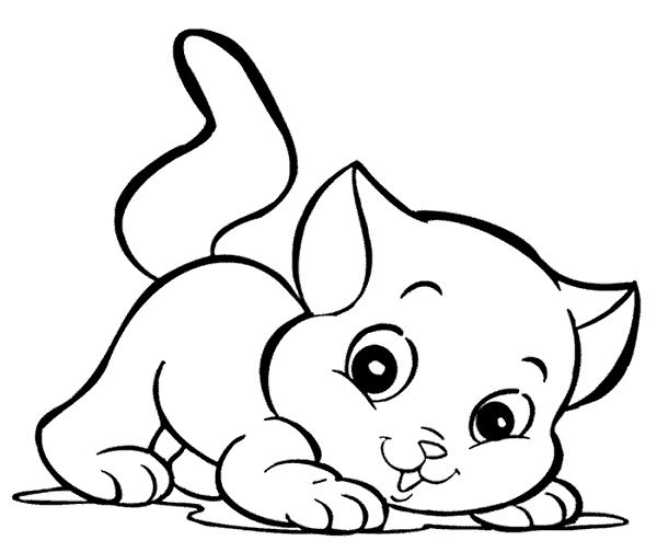 Katze Ausmalbilder - Kids-Ausmalbildertv | Katze Zum bei Ausmalen Katze