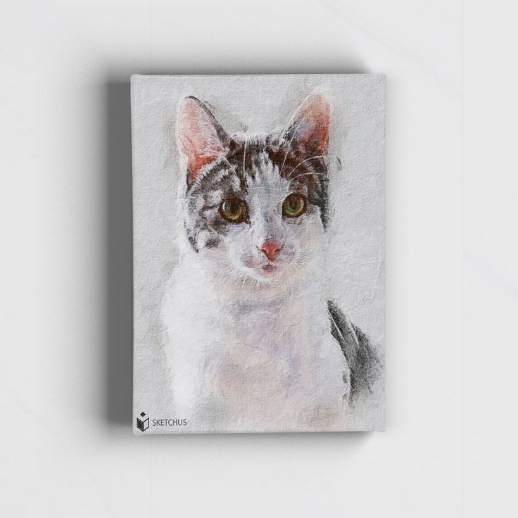 Katze Malen Lassen Auf Leinwand - Sketchus | Tiergemälde verwandt mit Katzengesicht Malen