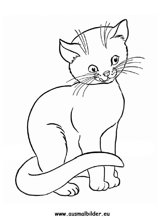 Katzen Malvorlagen | Animal Coloring Pages, Cat Coloring mit Zum Ausmalen Katze
