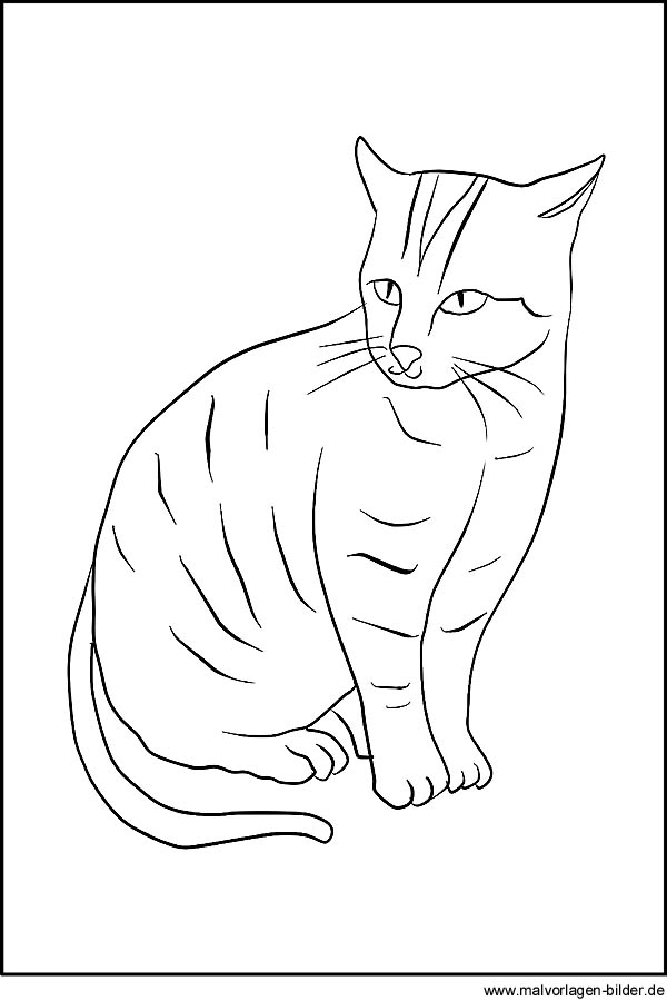 Katzen Zeichnung Zum Ausdrucken über Katzen Malen Vorlagen
