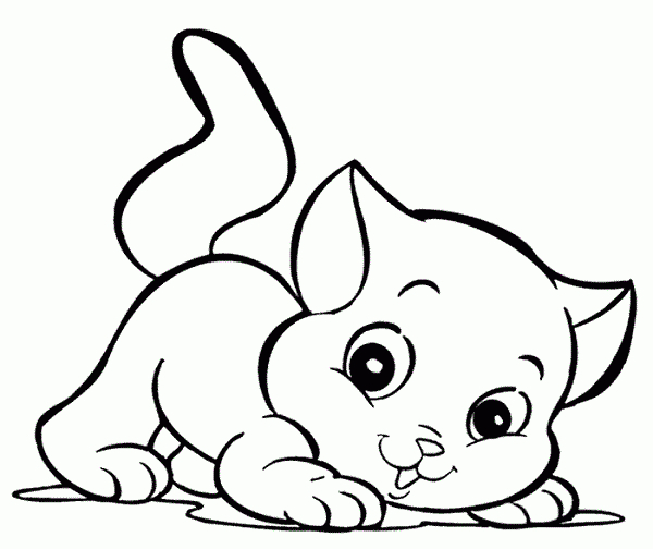 Katzenbabys Süße Baby Katzen Ausmalbilder - Dorothy Meyer ganzes Süße Tierbabys Ausmalbilder
