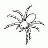 Kids-N-Fun.de | Malvorlage Spinnen Spinnen bei Spinnen Zum Ausdrucken