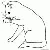 Lovecat für Katzenbaby Ausmalbilder