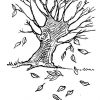 Malvorlage Baum Im Herbst - Kostenlose Ausmalbilder Zum ganzes Herbst Ausmalbild