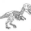 Malvorlage Dinosaurier Skelett / Dinosaurier-Interesse ganzes Langhals Dino Ausmalbild