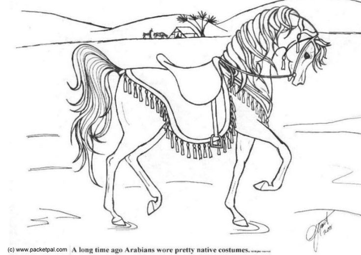 Malvorlage Dressur Pferd | Ausmalbild 6087. | Malvorlagen für Pferd Bild Zum Ausmalen