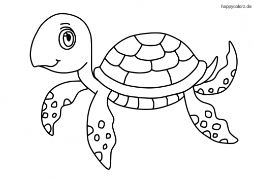 Malvorlage Schildkröte | Kinder Ausmalbilder verwandt mit Ausmalbild Schildkröten