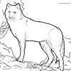 Malvorlage Wolf | Tiere In 2021 | Ausmalbilder, Ausmalen mit Ausmalbilder Wolf