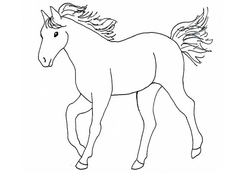 Malvorlagen ,Ausmalbilder, Pferde-10 | Malvorlagen mit Ausmalbilder Pferde