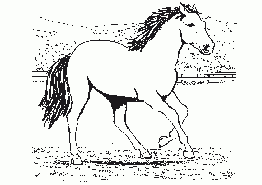 Malvorlagen ,Ausmalbilder, Pferde-42 | Ausmalbilder verwandt mit Pferde Ausmal Bilder