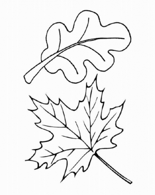 Malvorlagen Herbstblätter Ausdrucken - Kostenlose innen Malvorlage Blätter Herbst