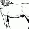 Malvorlagen Pferd Kostenlos bestimmt für Ausmalbild Pferd
