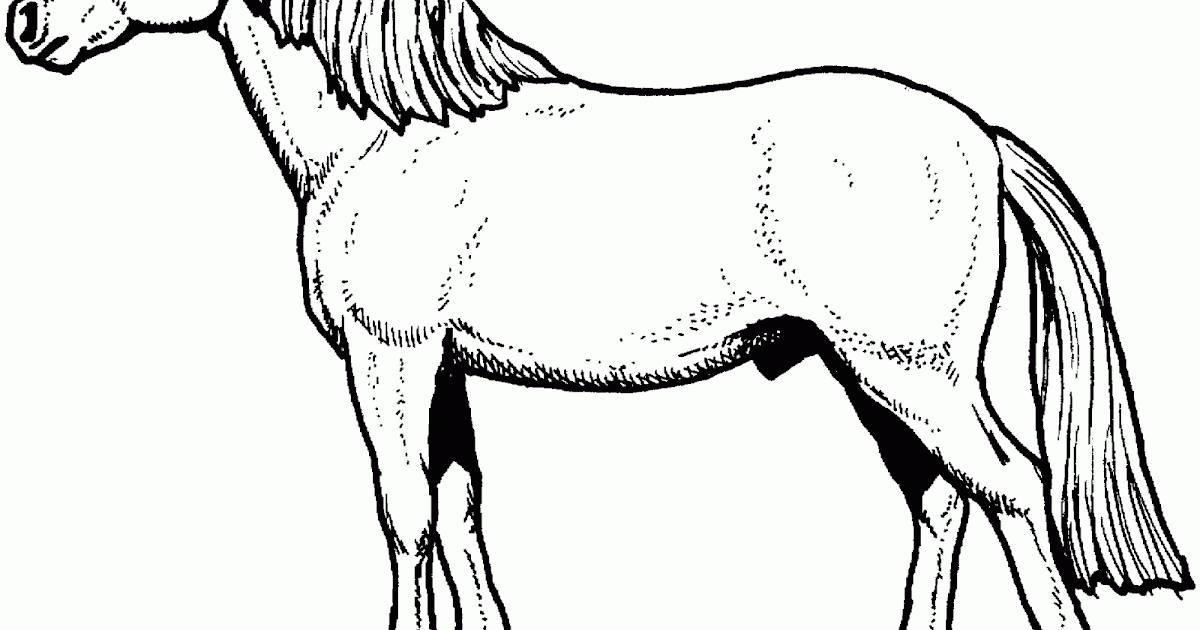Malvorlagen Pferd Kostenlos bestimmt für Ausmalbild Pferd