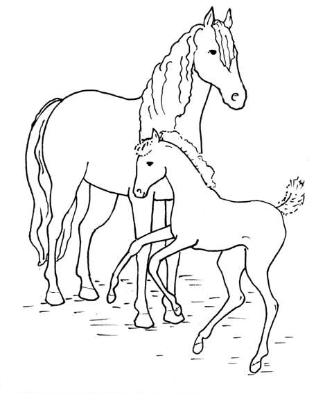 Malvorlagen Pferde | Horse Coloring Pages, Horse Coloring verwandt mit Ausmalvorlagen Pferde