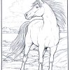 Malvorlagen Pferde Zum Ausdrucken verwandt mit Ausmalbild Pferde