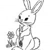 Malvorlagen Zum Ausmalen Ausmalbilder Kaninchen Gratis 3 über Hasen Bilder Zum Ausdrucken