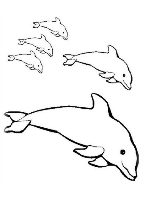 Malvorlagen Zum Drucken Ausmalbild Delphine Kostenlos 4 innen Delfin Zum Ausdrucken