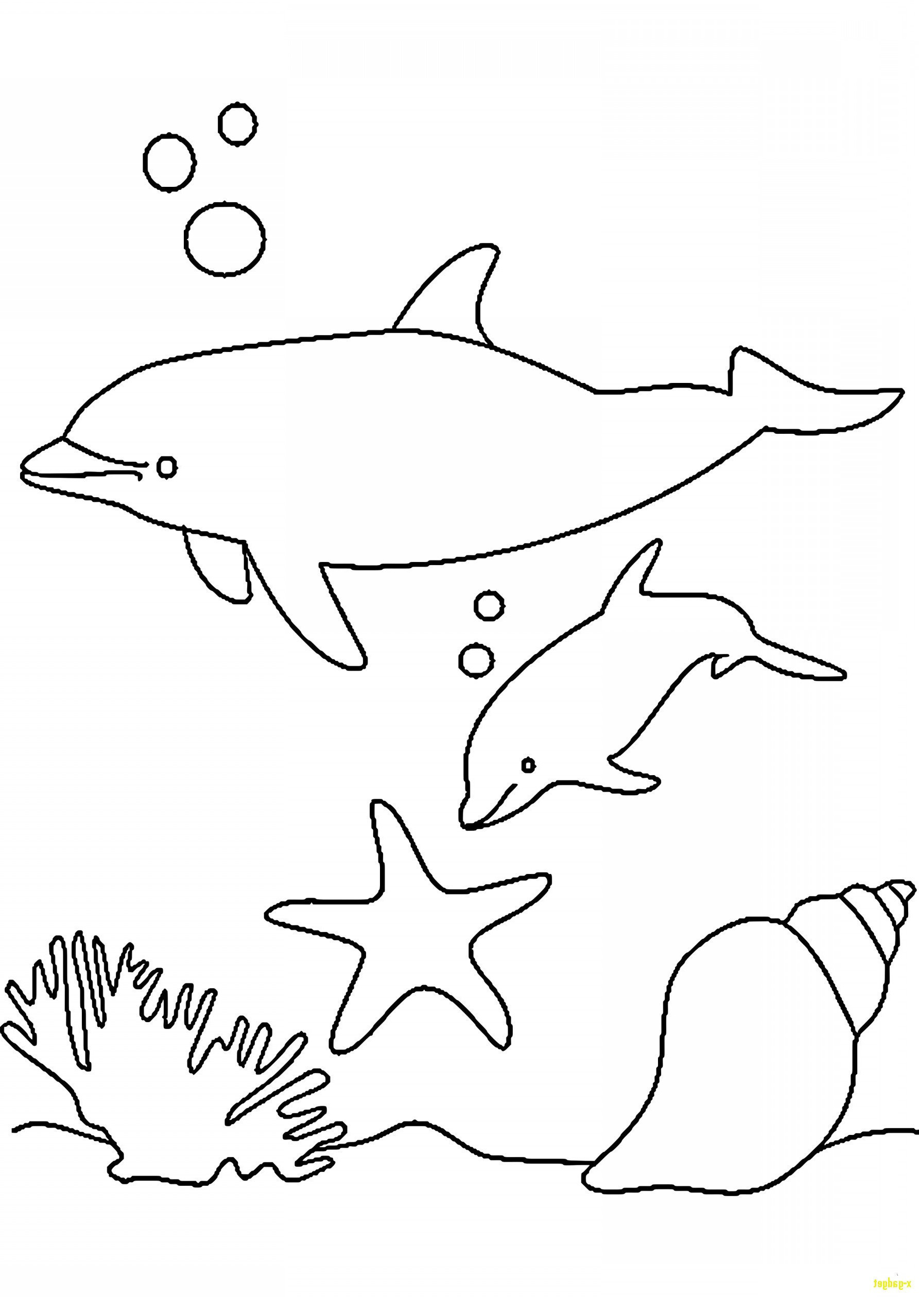 Mandala Ausmalen Delphin bei Delfin Zum Ausdrucken