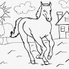 Mit Pferden Malvorlagen Kostenlos Zum Ausdrucken in Kinderbilder Zum Ausdrucken