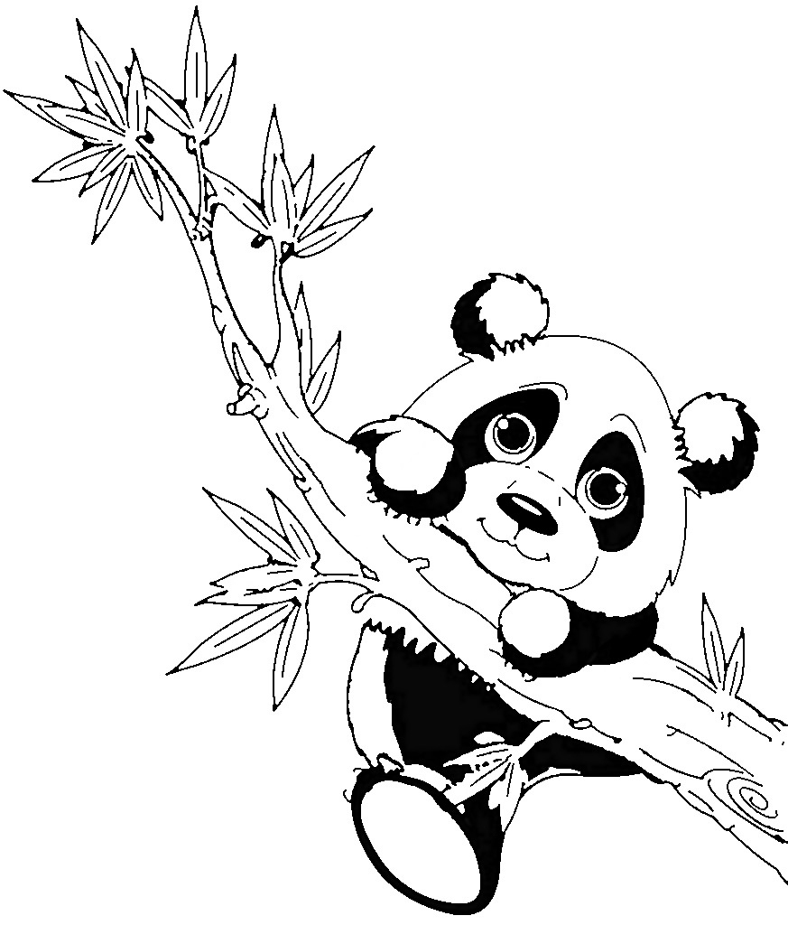 Panda Bär Ausmalbilder Zum Ausdrucken » Super Malvorlagen für Babybilder Zum Ausmalen