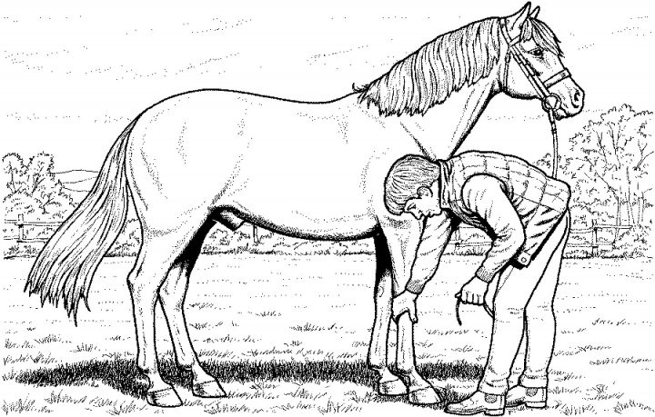 Pferde Ausmalbilder Ausdrucken | Horse Coloring Pages mit Pferde Ausmalbilder