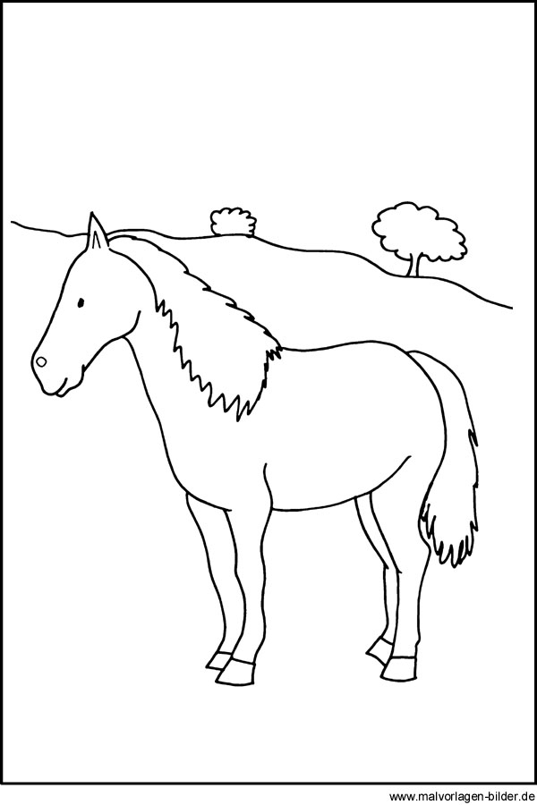 Pferde-Bild Zum Ausdrucken Und Ausmalen bei Bilder Zum Ausmalen Pferd