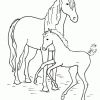 Pin On Horses ganzes Ausmalbilder Pferde Drucken