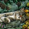 Pin Von Claudia Kätzchen Auf Cats. | Katzen Zeichnungen mit Kätzchen Zeichnen