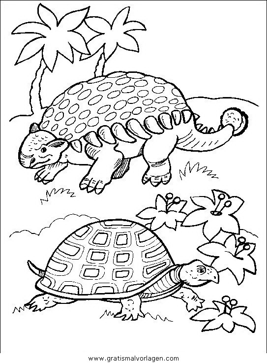 Schildkrote Ausmalbild Von Oben - Cartoon-Bild in Ausmalbild Schildkröten