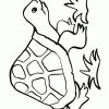 Schildkröte: Ausmalbilder &amp; Malvorlagen - 100% Kostenlos mit Ausmalbild Schildkröte